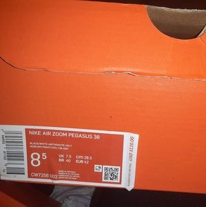 Nike Air Zoom Pegasus 38